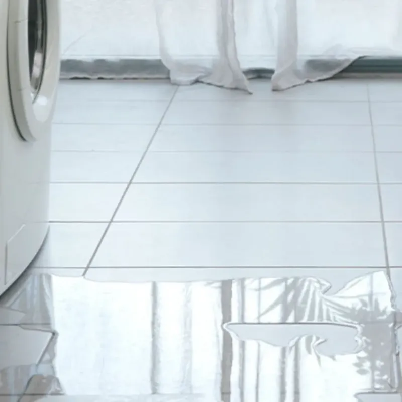 Appliance Leak Cleanup in Levy County, FL