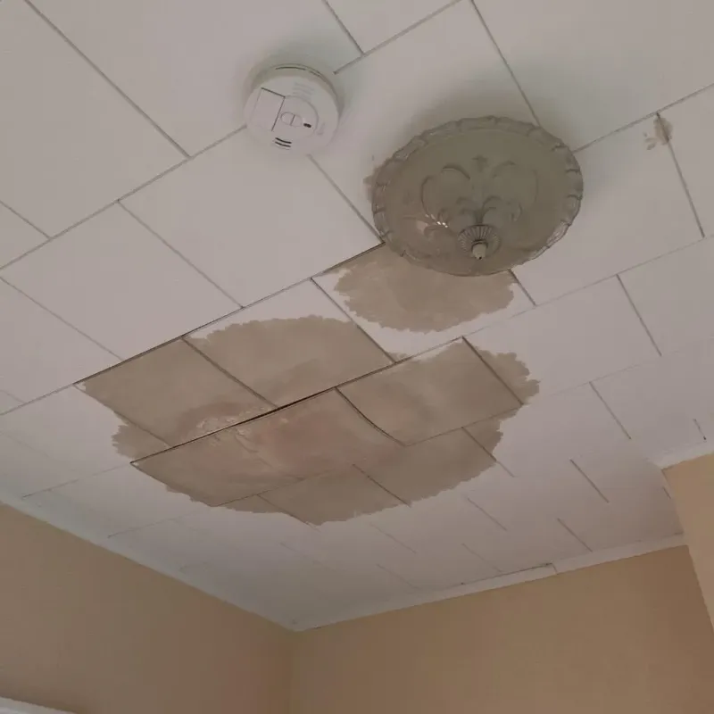 Ceiling Water Damage Repair in Levy County, FL